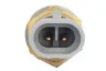 500346074 Senzor temperatura combustibil FPT