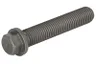 04234117-DEUTZ Șurub, pinion arbore cu came OE DEUTZ