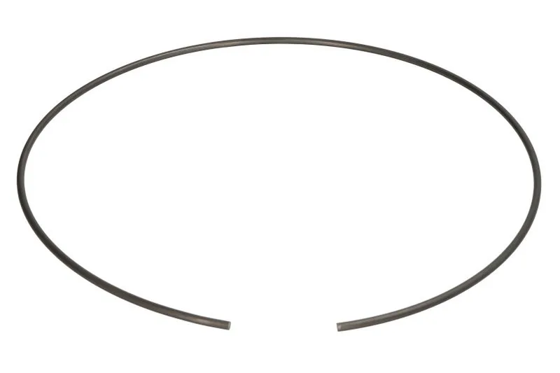125555-CR Set reparatie, diferential CARRARO