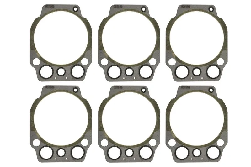 ENT010064/6 Garnitura chiulasa ENGITECH