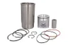 RE516227-FP Set raparatii, piston/bucsa cursa cilindru FP DIESEL