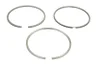 Segment piston