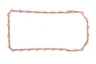 R521493-FP Garnitura pompa ulei FP DIESEL