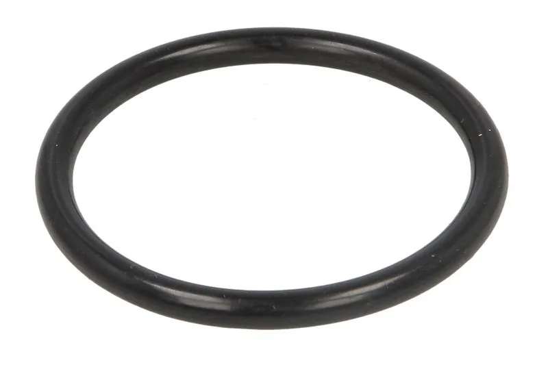 951619 CVA O-ring conductă de ulei