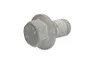01181662 Surub chiulasa OE DEUTZ