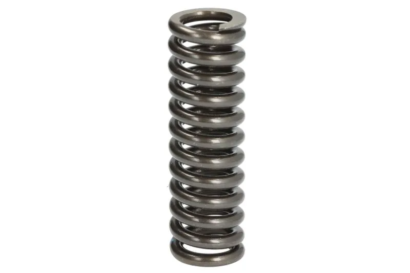 1376718 Arc supapa FP DIESEL