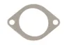 71-41573-00 Garnitura, racord evacuare REINZ