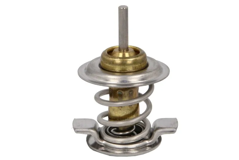 20506125 Termostat,lichid racire SRP