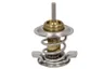 20506125 Termostat,lichid racire SRP