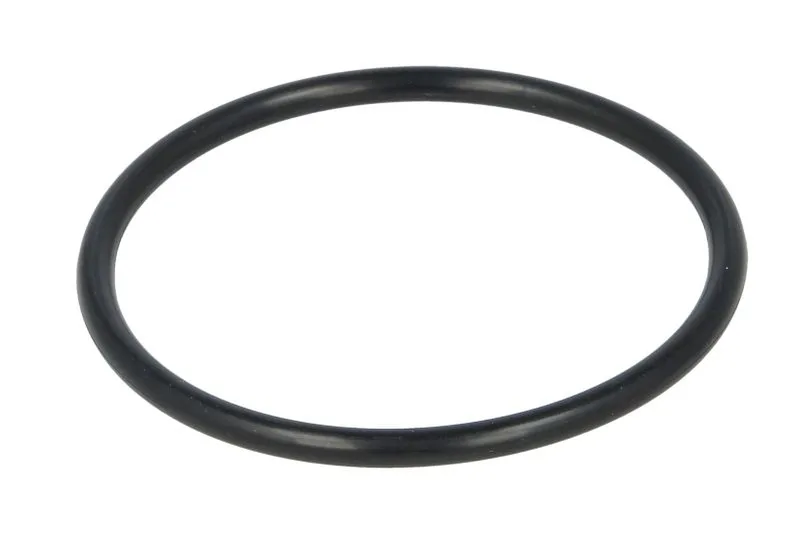 O-ring, camasa cilindru