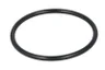 ENT030164 O-ring, camasa cilindru ENGITECH