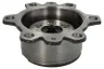 452093 Kit reparatie reductor CARRARO