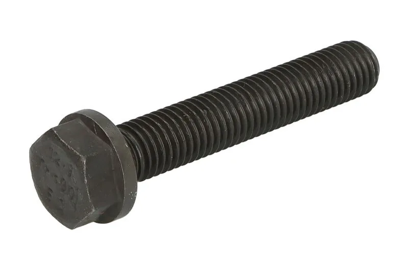 ENT005005 Surub chiulasa ENGITECH