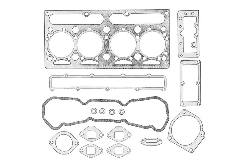 Set garnituri complet, motor