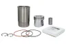 RE500673-FP Set raparatii, piston/bucsa cursa cilindru FP DIESEL