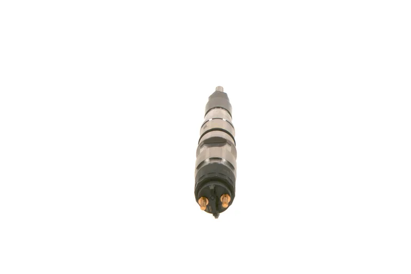 0 445 120 080 Injector BOSCH