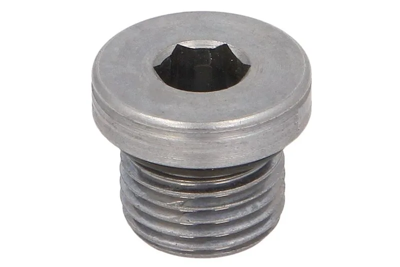 4895623 Element transmisie manuala FPT