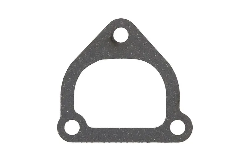 Garnitura termostat