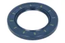 ENT020374 Simering, arbore cotit ENGITECH