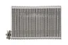 442021N Evaporator, aer conditionat AKS DASIS