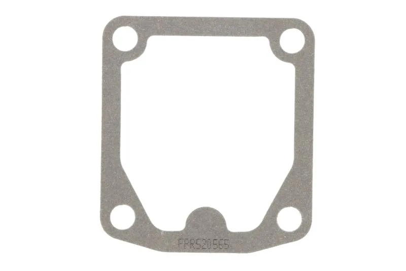 R520565 Garnitura bloc motor FP DIESEL
