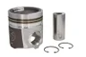 3631241-FP Piston FP DIESEL