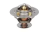 Termostat,lichid racire