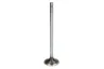R520223 Supapa admisie FP DIESEL