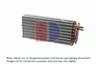 821889N Evaporator, aer conditionat AKS DASIS