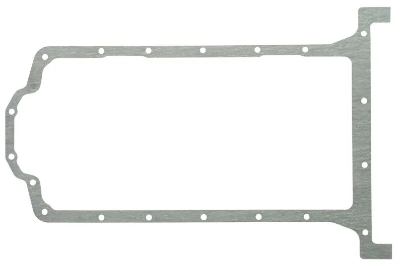 71-41456-00 Garnitura pompa ulei REINZ