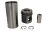 Set raparatii, piston/bucsa cursa cilindru