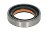 B05-AG-893 Garnitura BTA