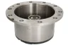 113.06.616.01-DS Set reparatie, diferential DANA SPICER