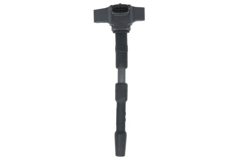 5801539018 Bobina de inductie FPT