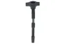 5801539018 Bobina de inductie FPT
