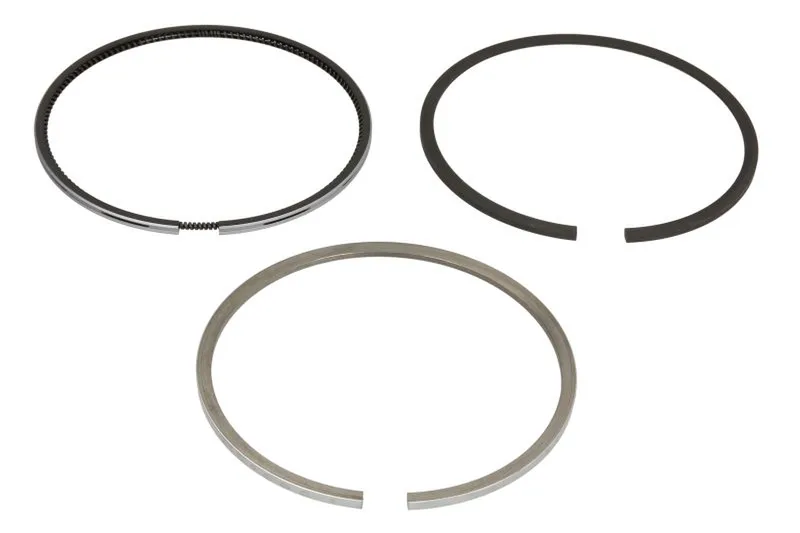 8915480000 Set segmenti piston NE