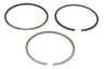8915480000 Set segmenti piston NE