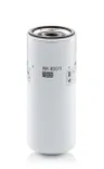 Filtru combustibil