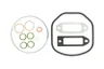 Set garnituri complet, motor