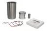 RE524450 Set raparatii, piston/bucsa cursa cilindru FP DIESEL