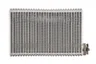 442021N Evaporator, aer conditionat AKS DASIS