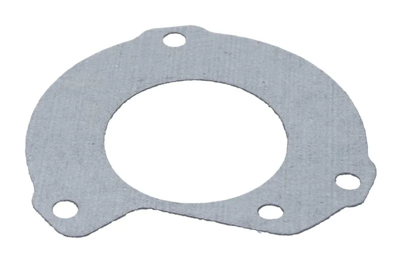 4851922 Garnitura, pompa injectie FPT