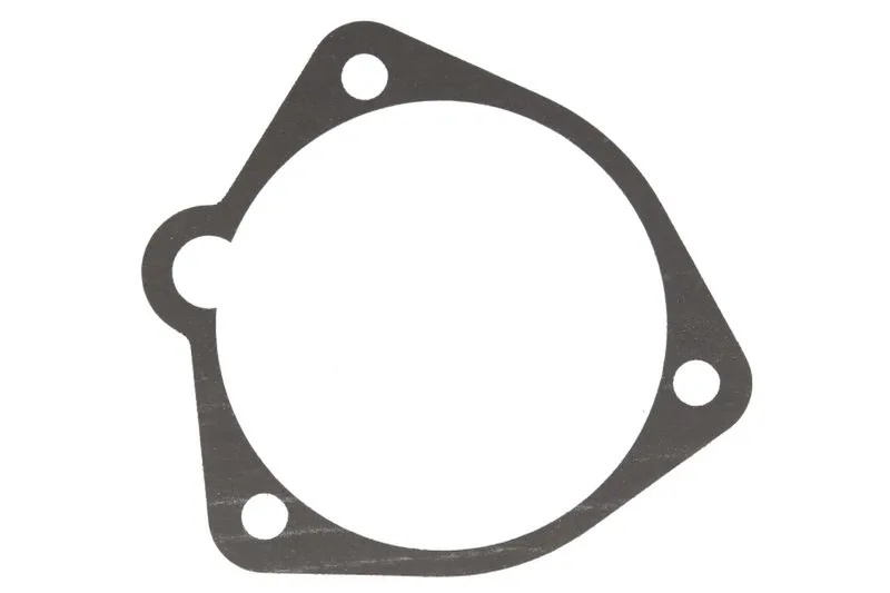 Garnitura bloc motor