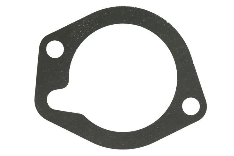 Garnitura termostat