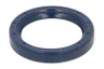 25216-CR Set reparatie, diferential CARRARO
