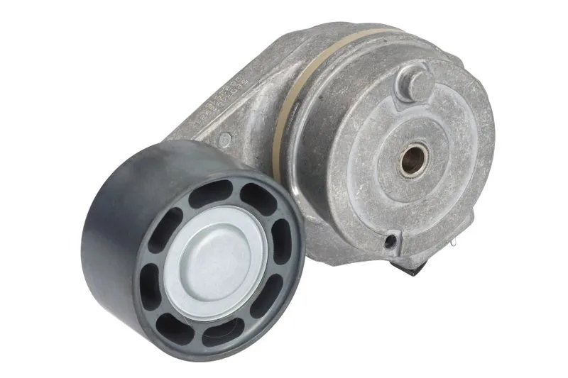 5803192981 Intinzator curea, curea distributie FPT
