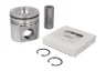 4955365 Piston FP DIESEL