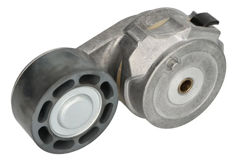 Rola intinzator,curea distributie