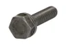 04220681 Șurub, pinion arbore cu came OE DEUTZ