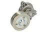 Intinzator curea, curea distributie